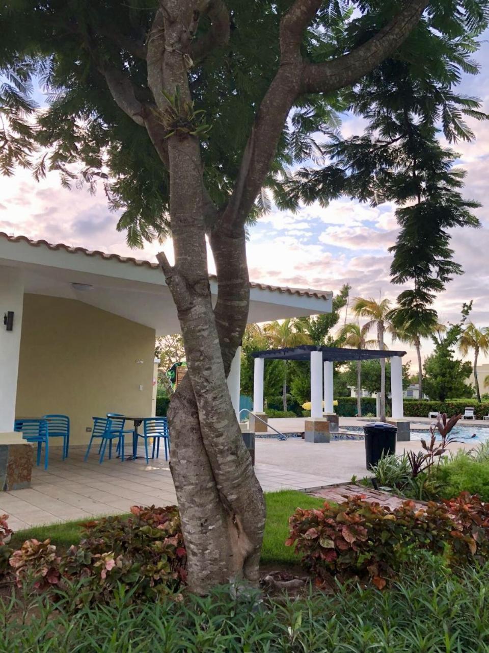 Aquatika Paraiso Tropical Loiza ภายนอก รูปภาพ